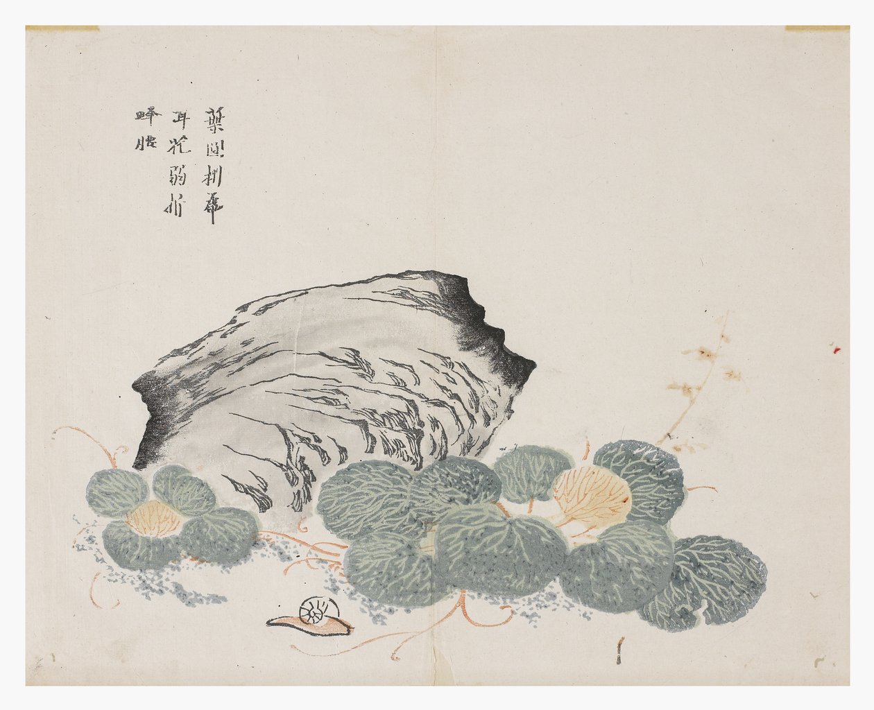 Jardim de Sementes de Mostarda de Chinese School