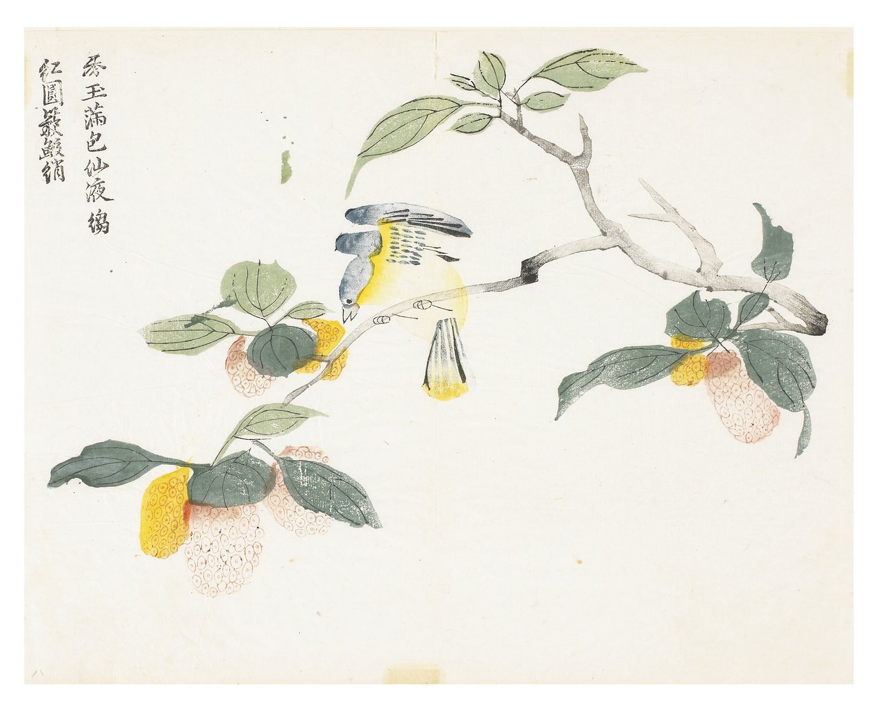 Jardim de Sementes de Mostarda de Chinese School