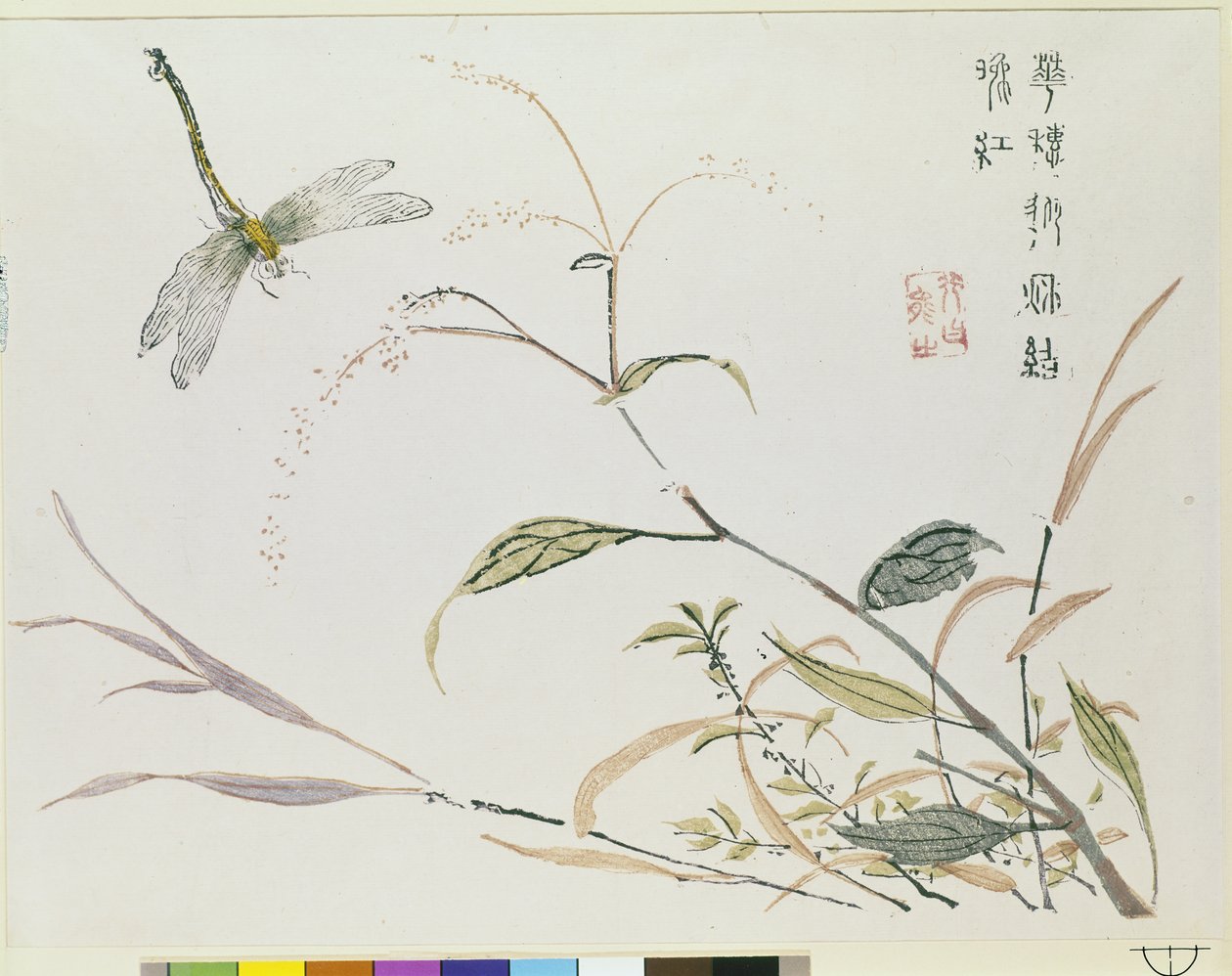 Jardim de Sementes de Mostarda de Chinese School