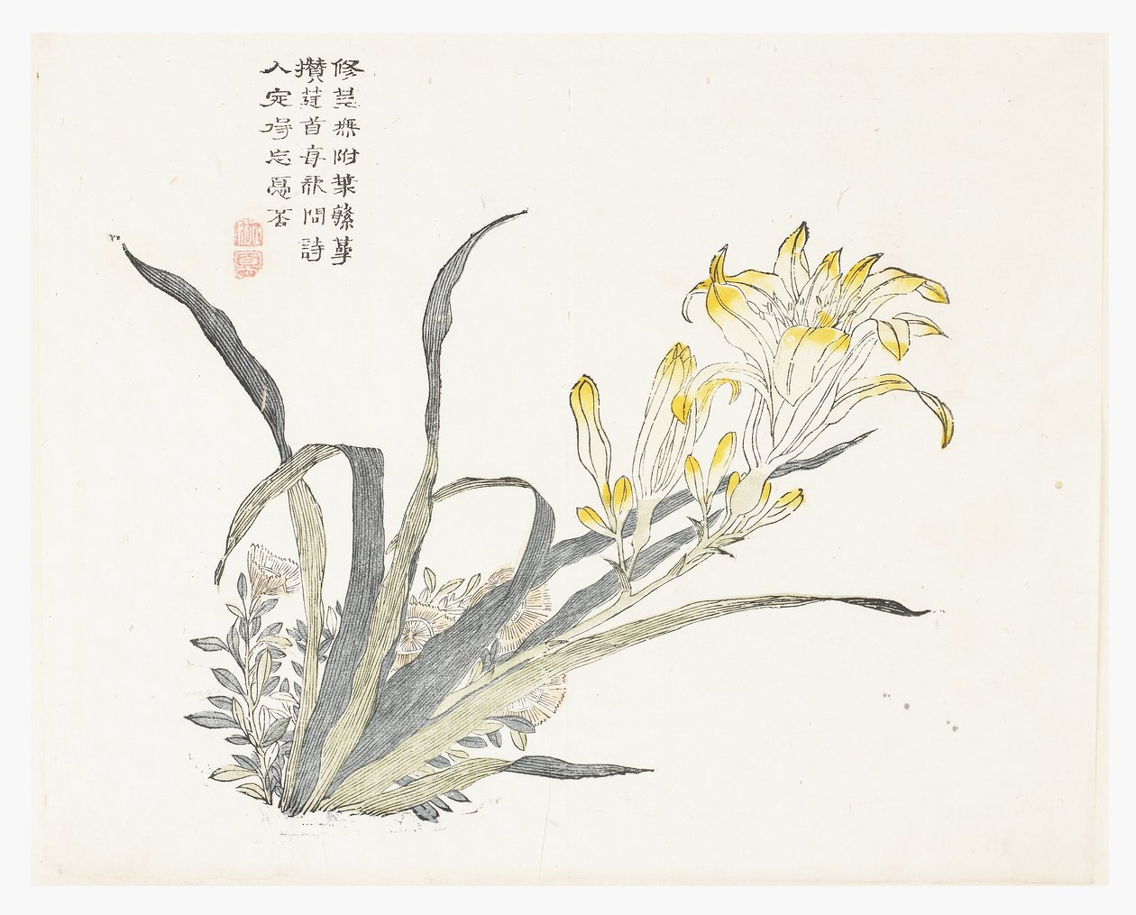 Jardim de Sementes de Mostarda de Chinese School
