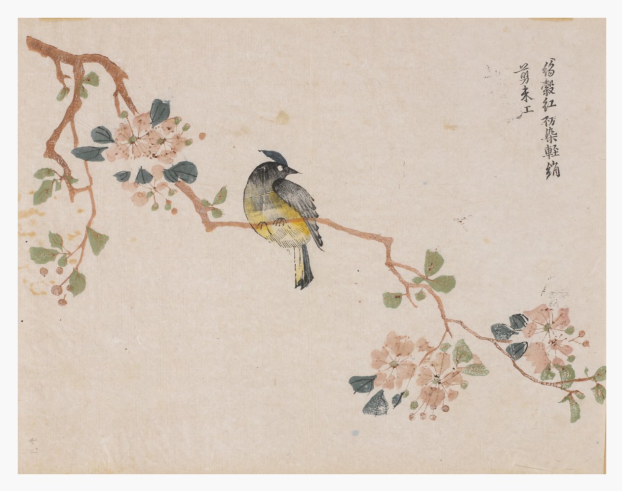 Jardim de Sementes de Mostarda de Chinese School