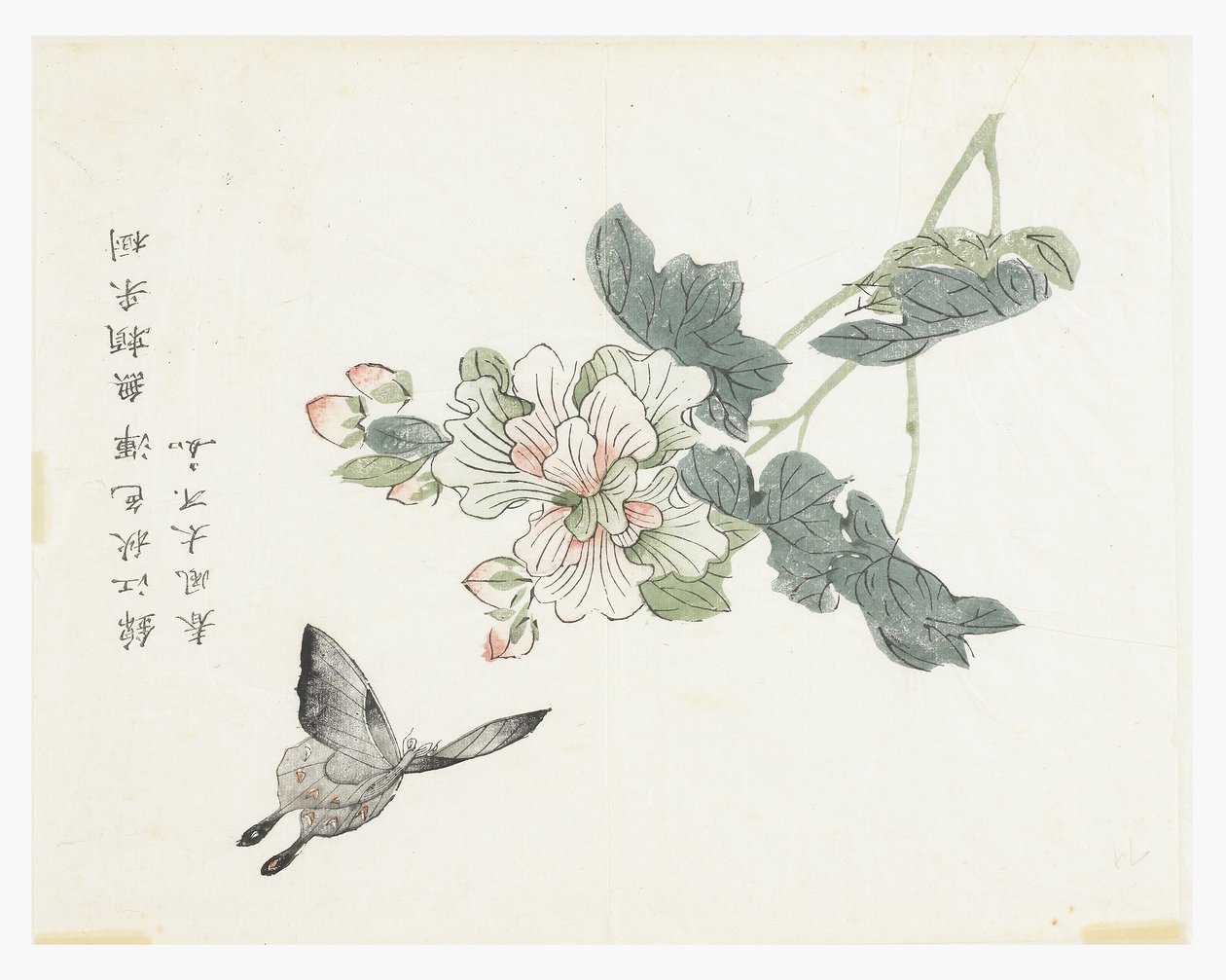 Jardim de Sementes de Mostarda de Chinese School