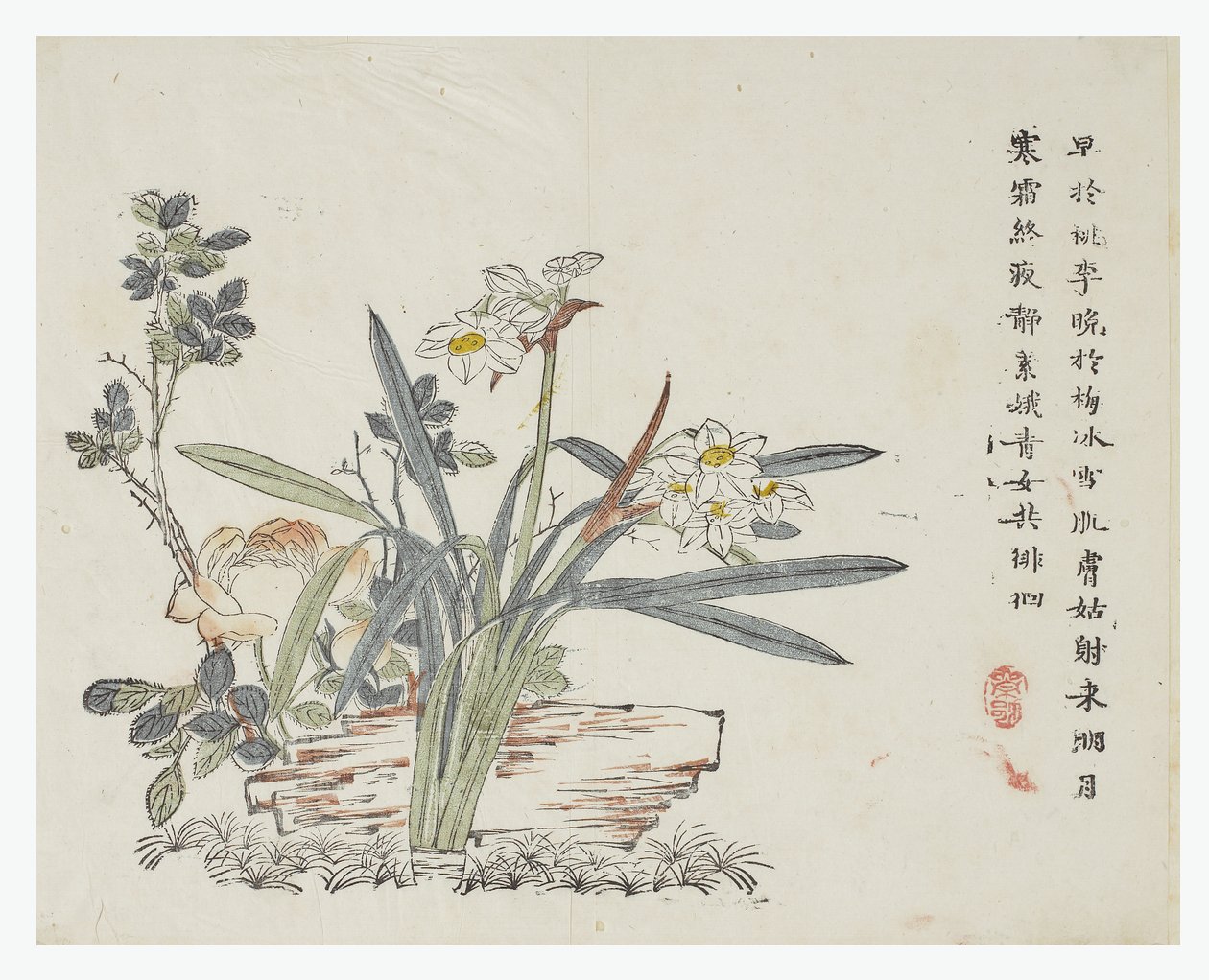 Jardim de Sementes de Mostarda de Chinese School