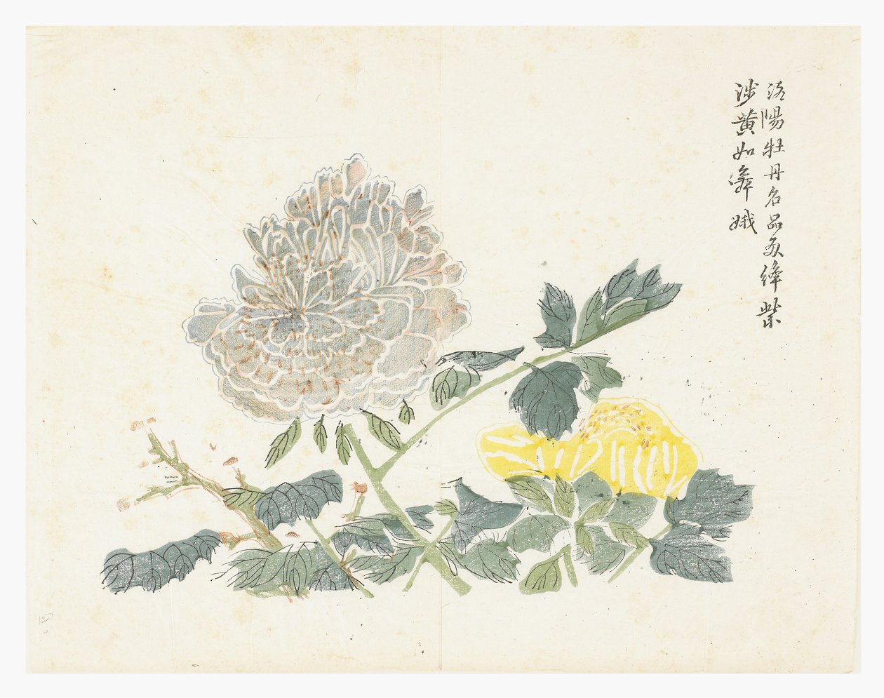 Jardim de Sementes de Mostarda de Chinese School