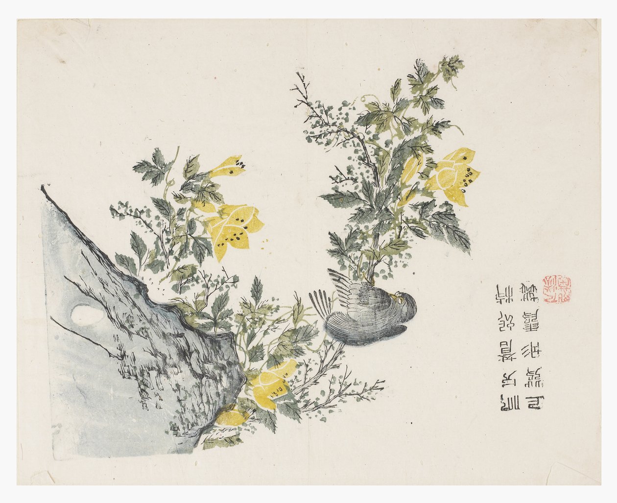 Jardim de Sementes de Mostarda de Chinese School