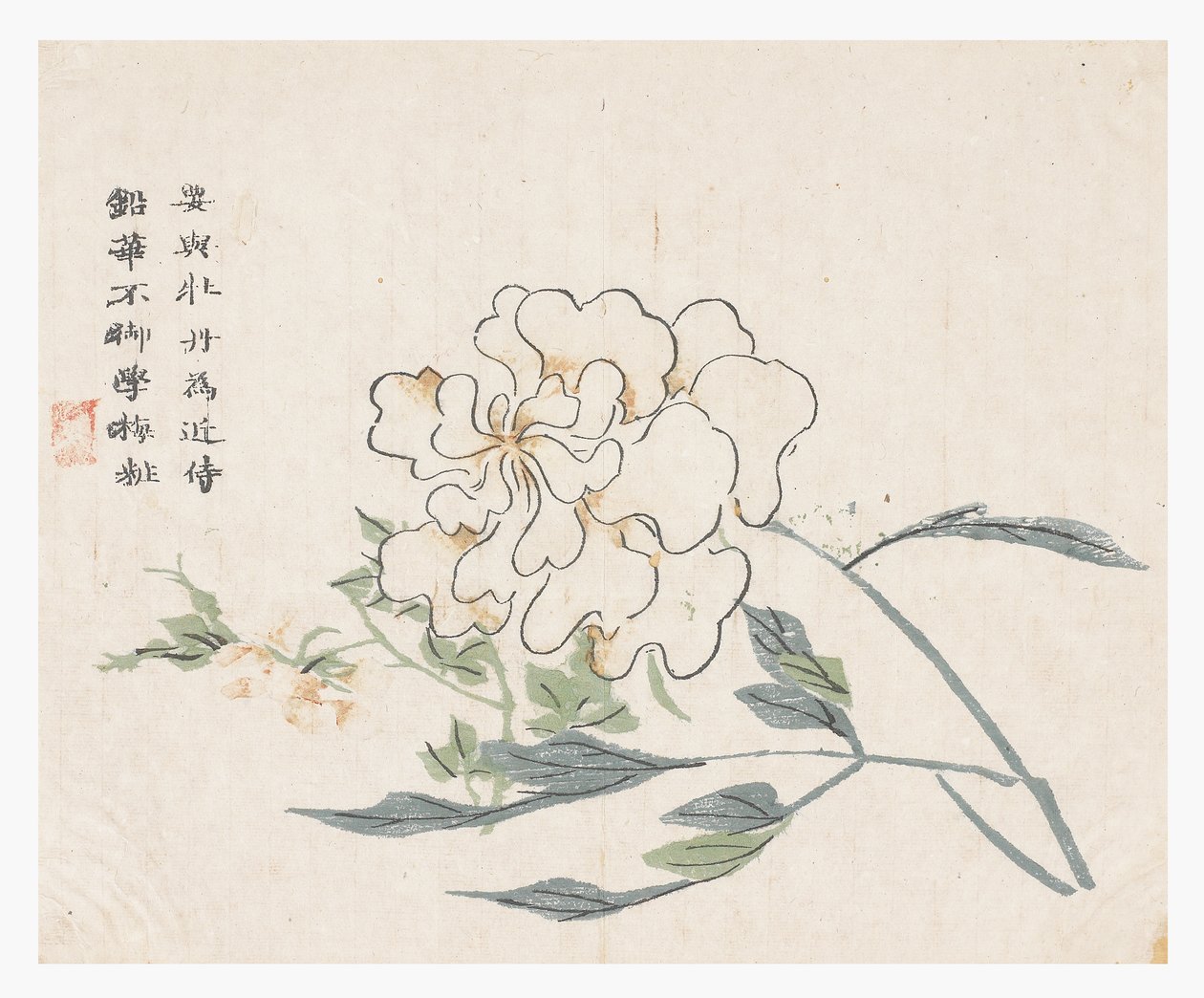Jardim de Sementes de Mostarda de Chinese School