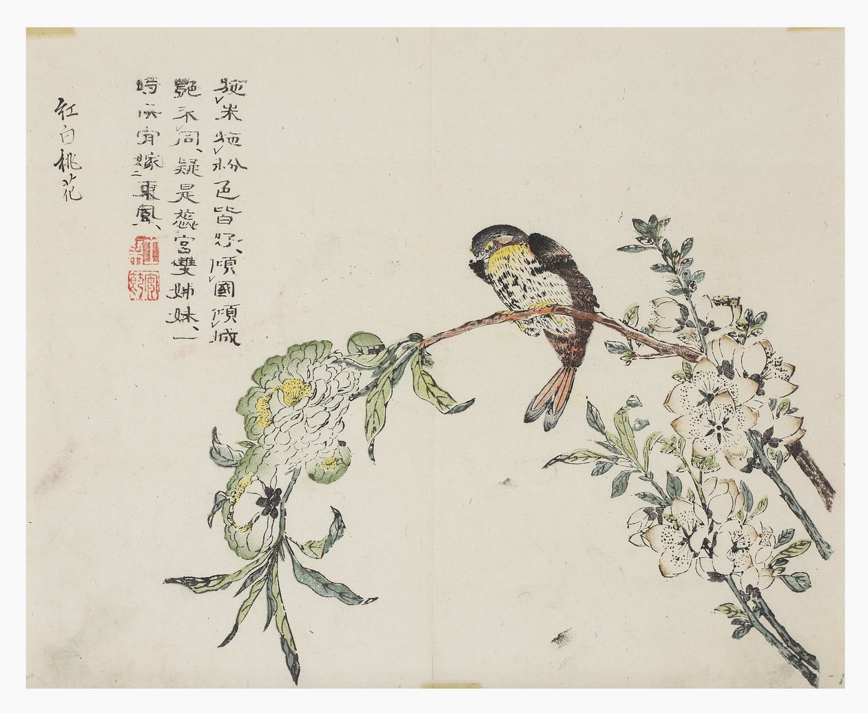 Jardim de Sementes de Mostarda de Chinese School
