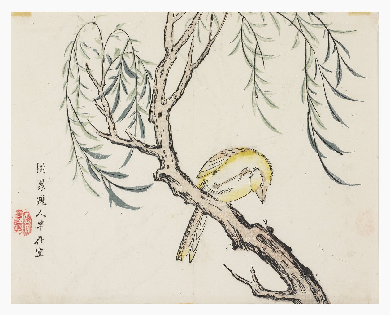 Jardim de Sementes de Mostarda de Chinese School