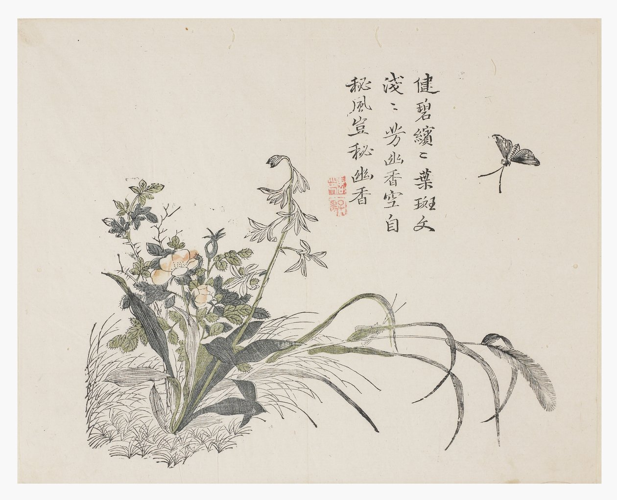 Jardim de Sementes de Mostarda de Chinese School