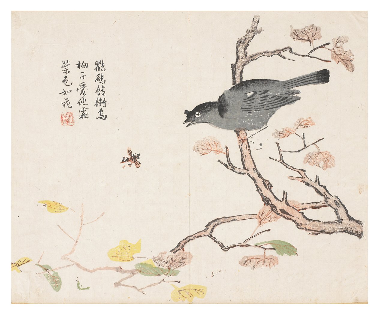 Jardim de Sementes de Mostarda de Chinese School