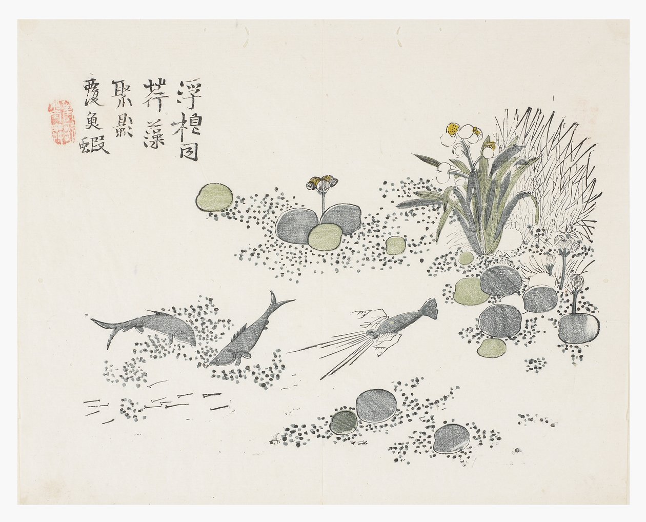 Jardim de Sementes de Mostarda de Chinese School