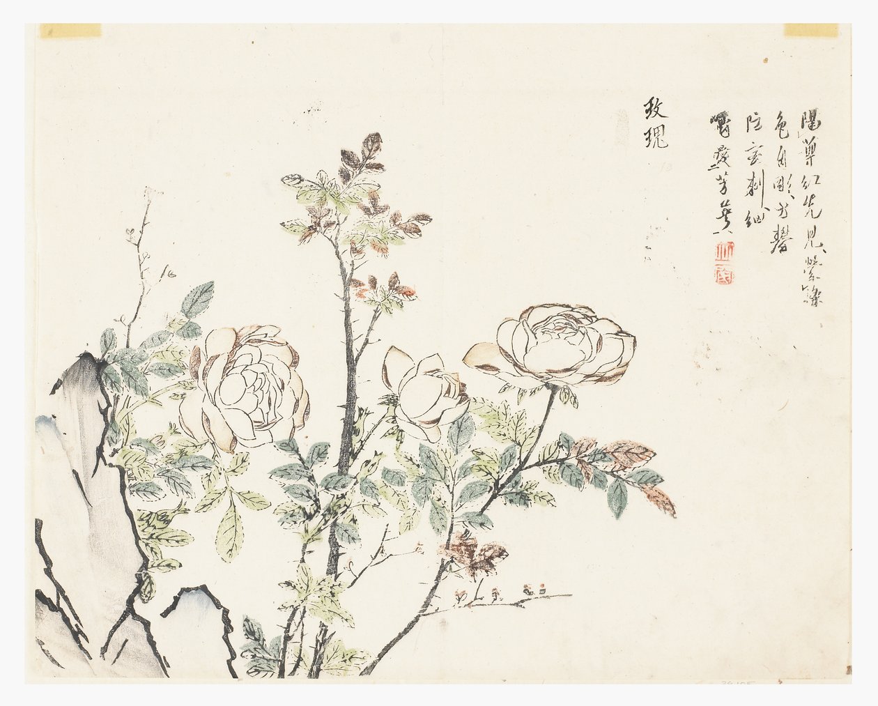 Jardim de sementes de mostarda de Chinese School