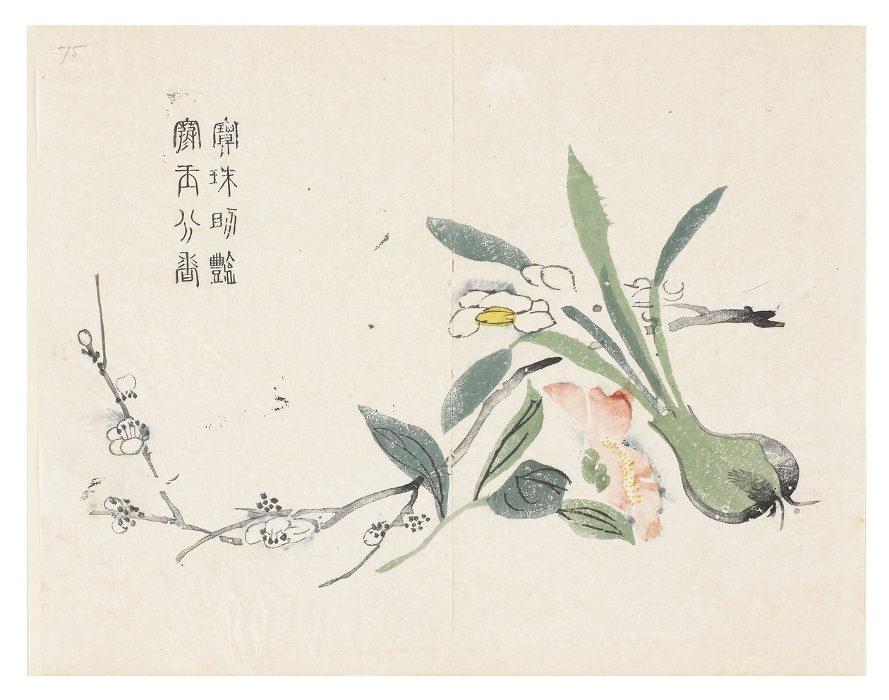 Jardim de sementes de mostarda de Chinese School