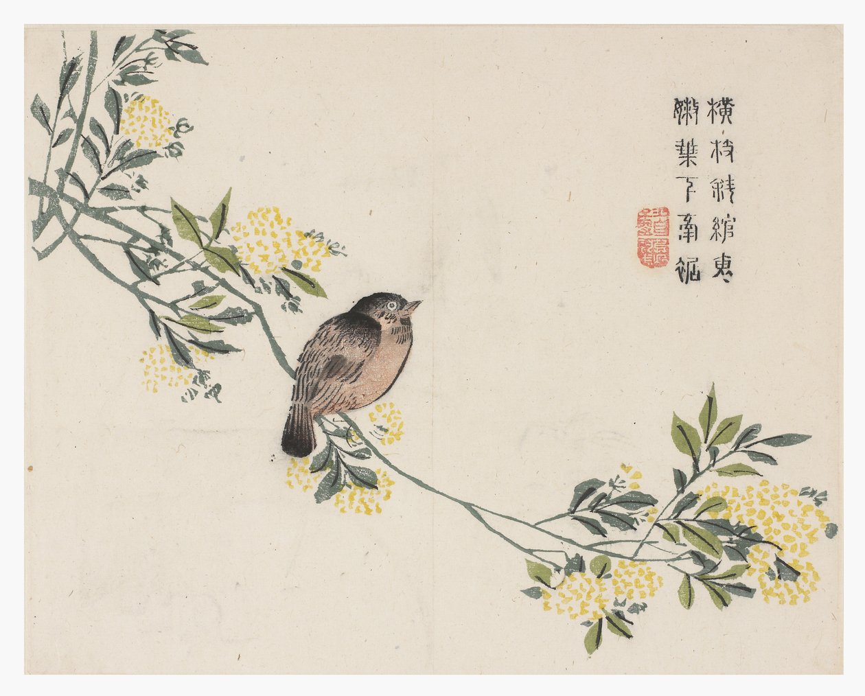 Jardim de sementes de mostarda de Chinese School