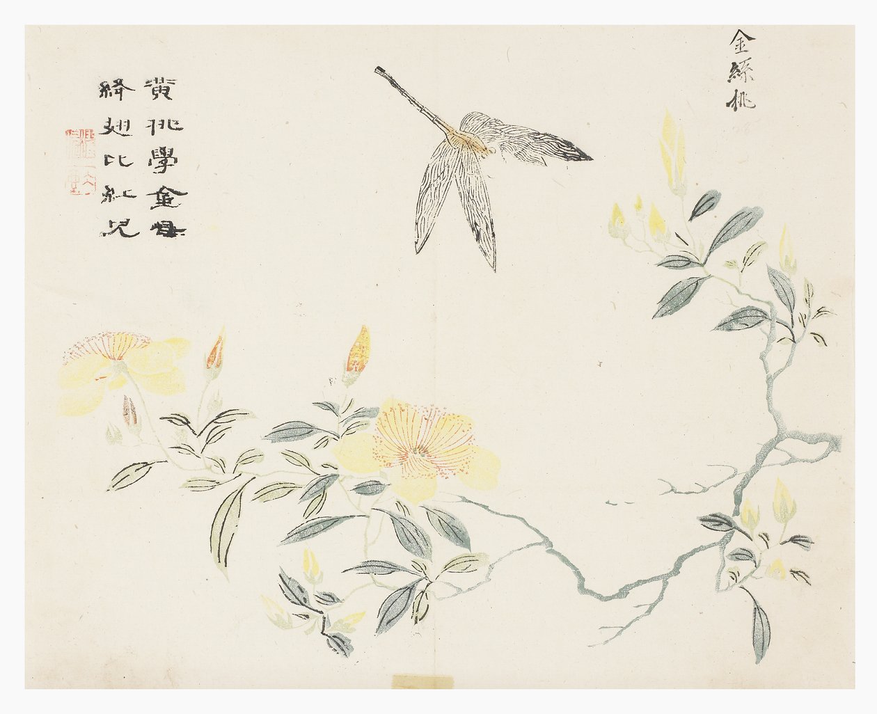 Jardim de sementes de mostarda de Chinese School
