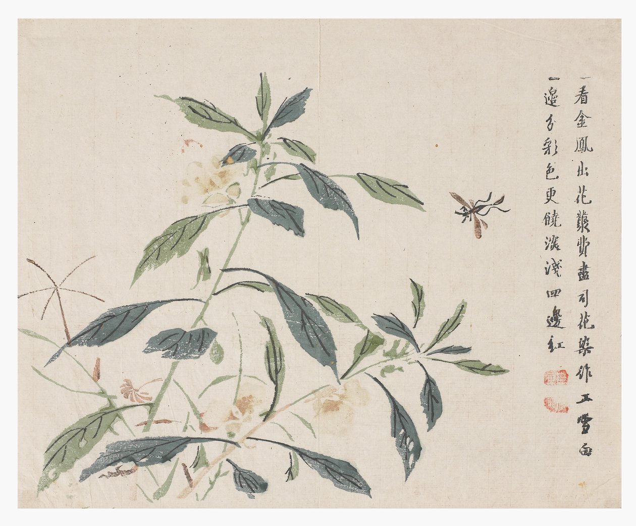 Jardim de sementes de mostarda de Chinese School