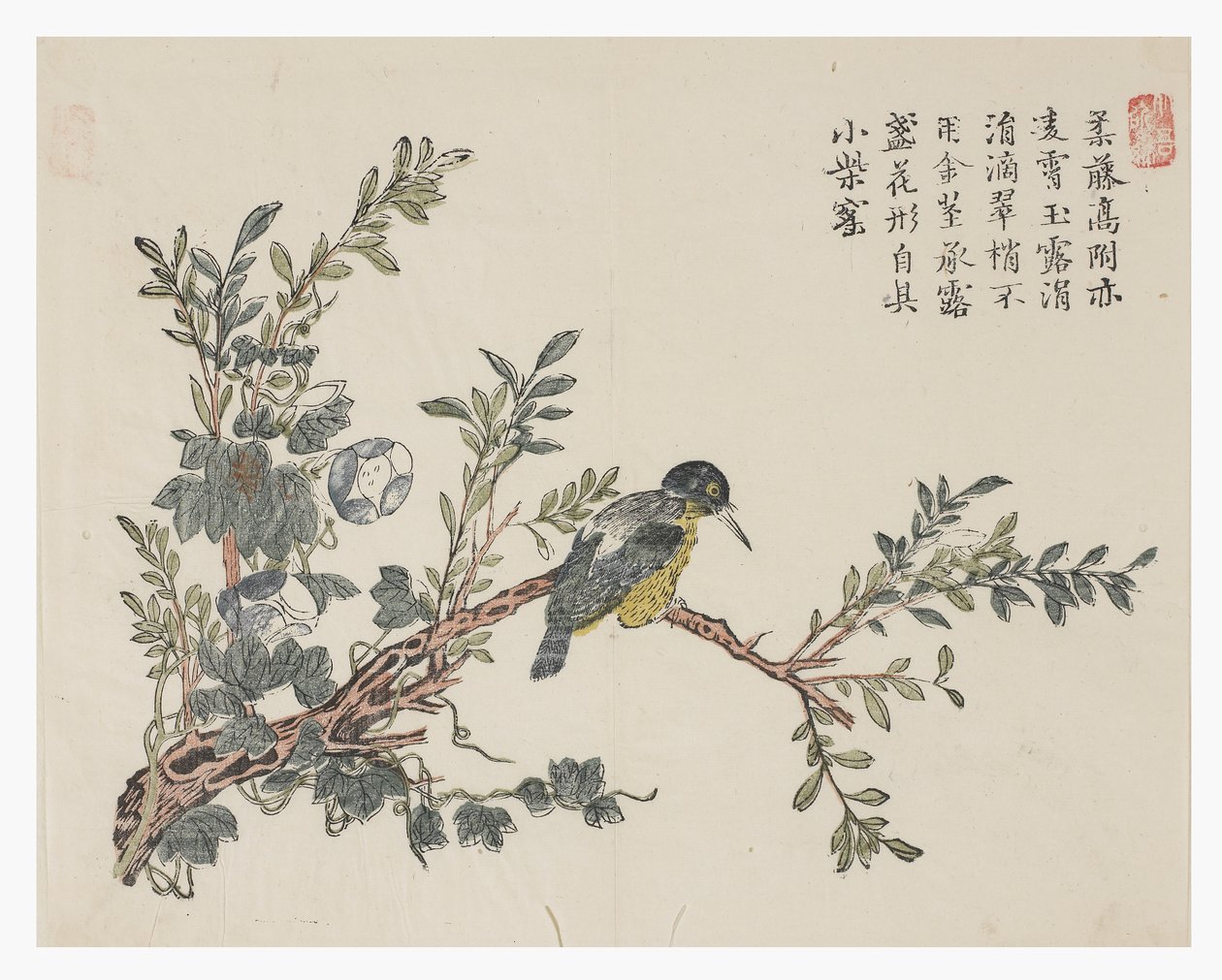 Jardim de sementes de mostarda de Chinese School