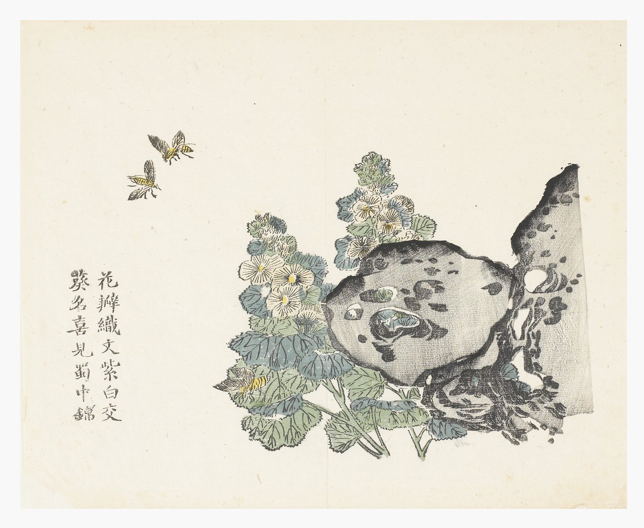 Jardim de sementes de mostarda de Chinese School