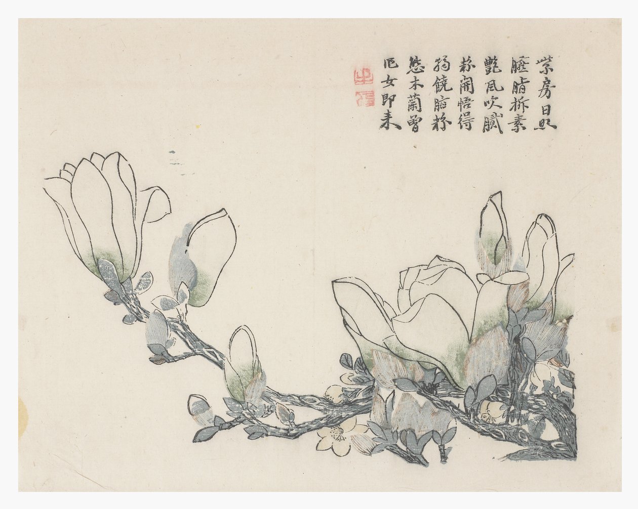 Jardim de sementes de mostarda de Chinese School
