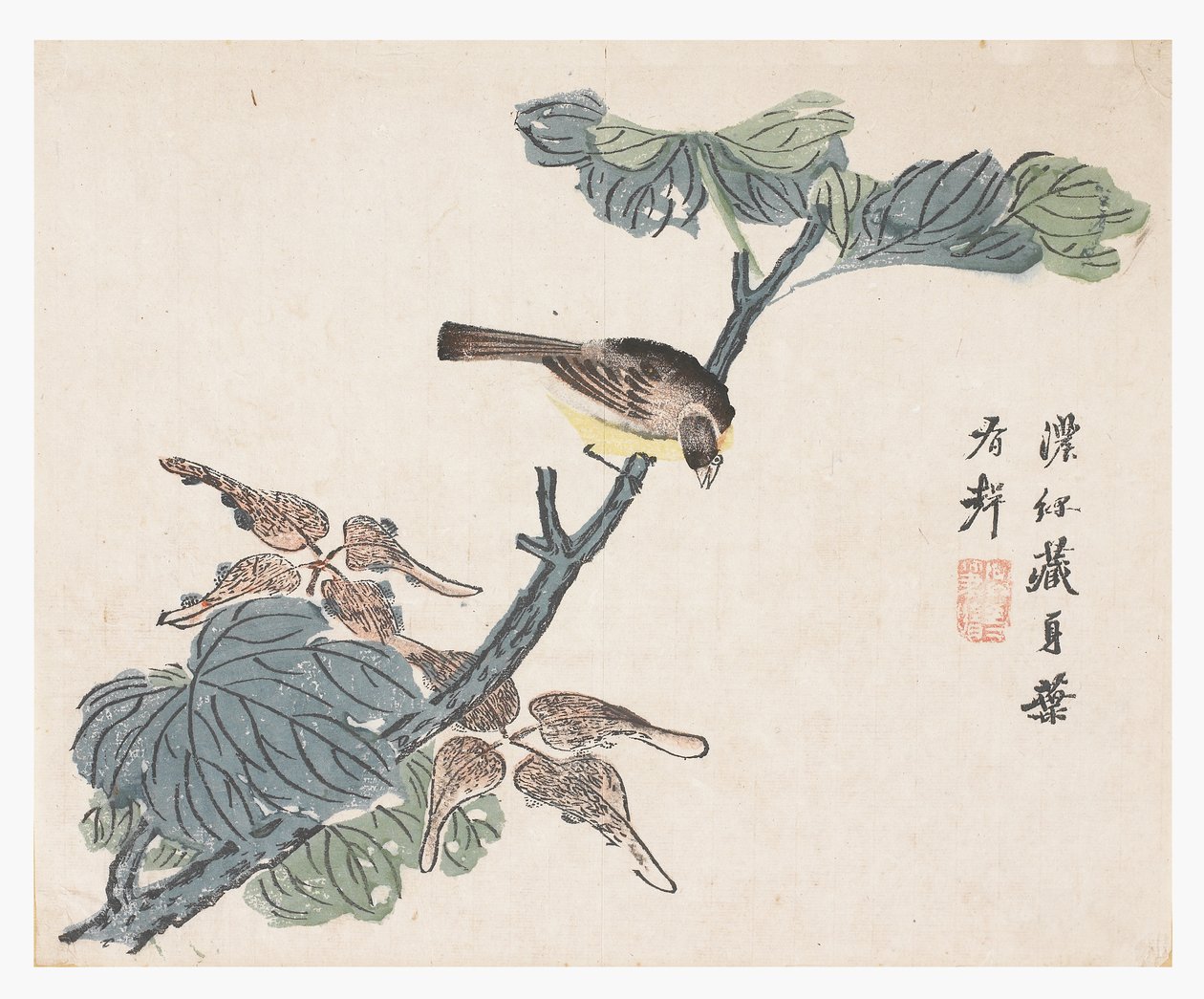 Jardim de sementes de mostarda de Chinese School