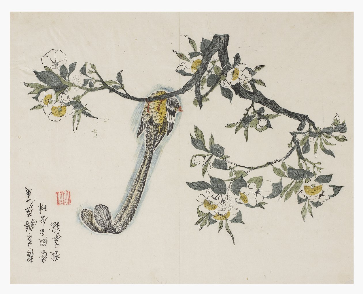 Jardim de sementes de mostarda de Chinese School