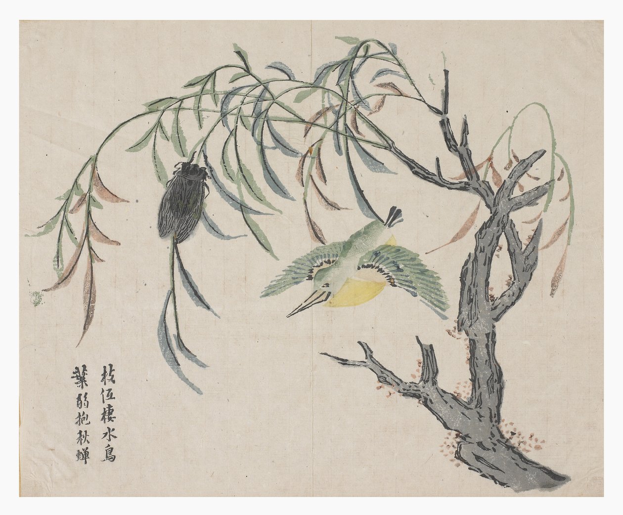 Jardim de Sementes de Mostarda de Chinese School