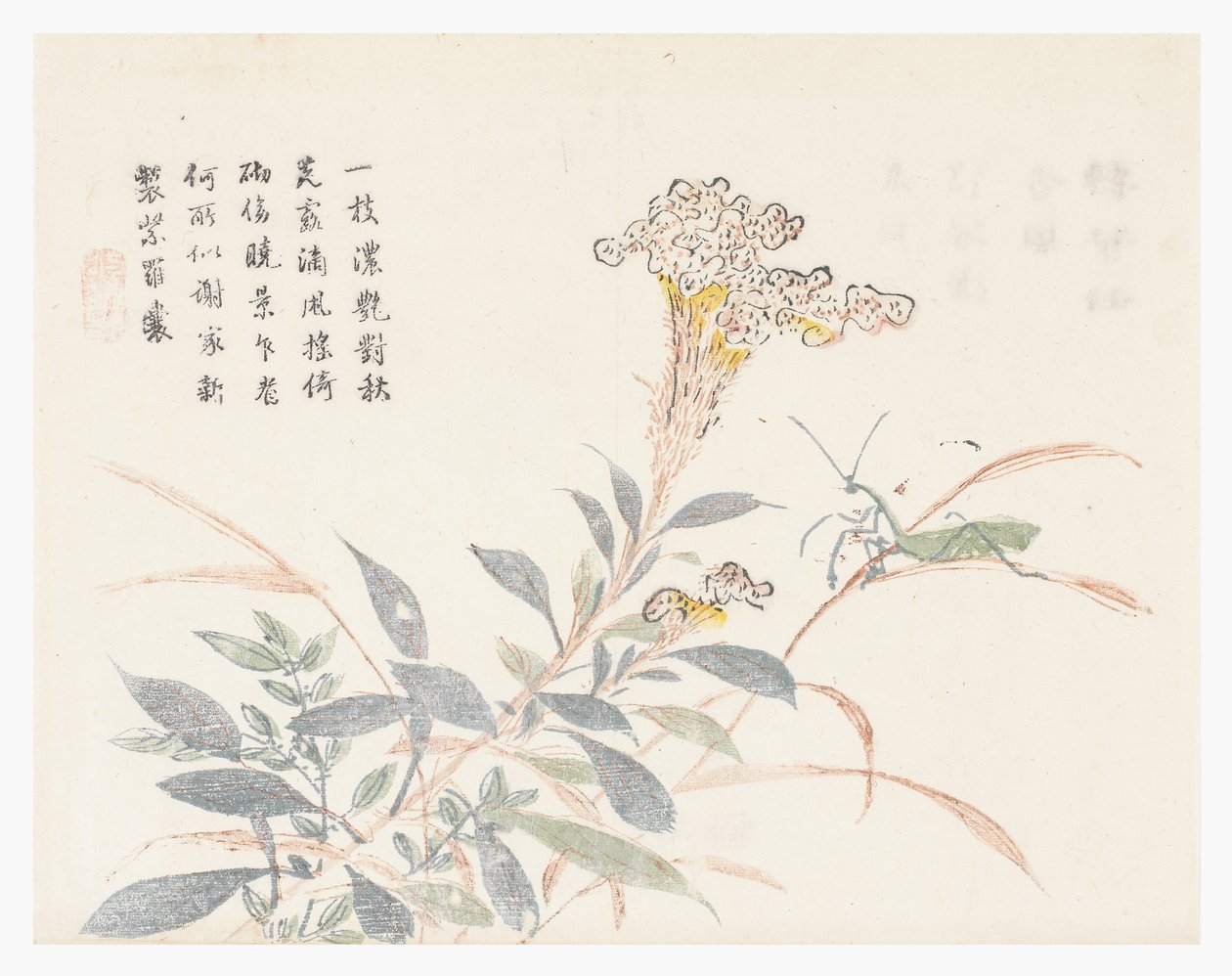 Jardim de Sementes de Mostarda de Chinese School
