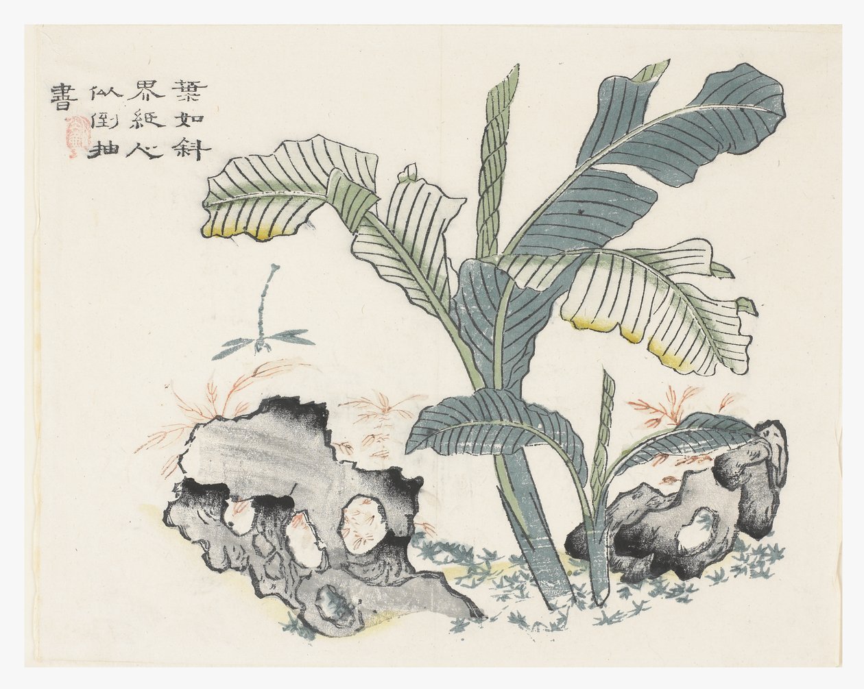 Jardim de Sementes de Mostarda de Chinese School