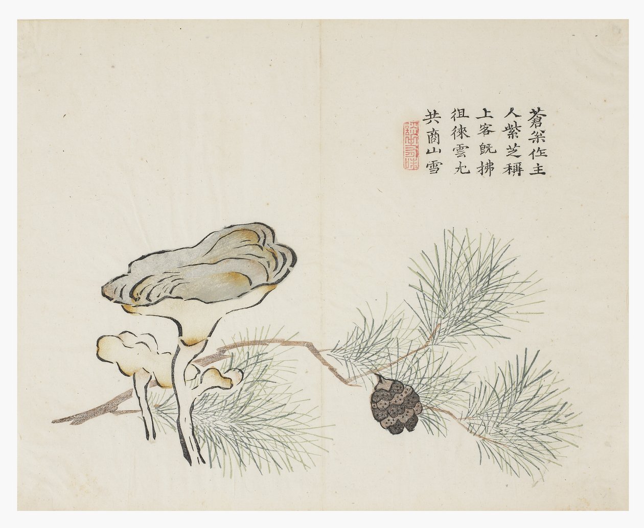 Jardim de Sementes de Mostarda de Chinese School