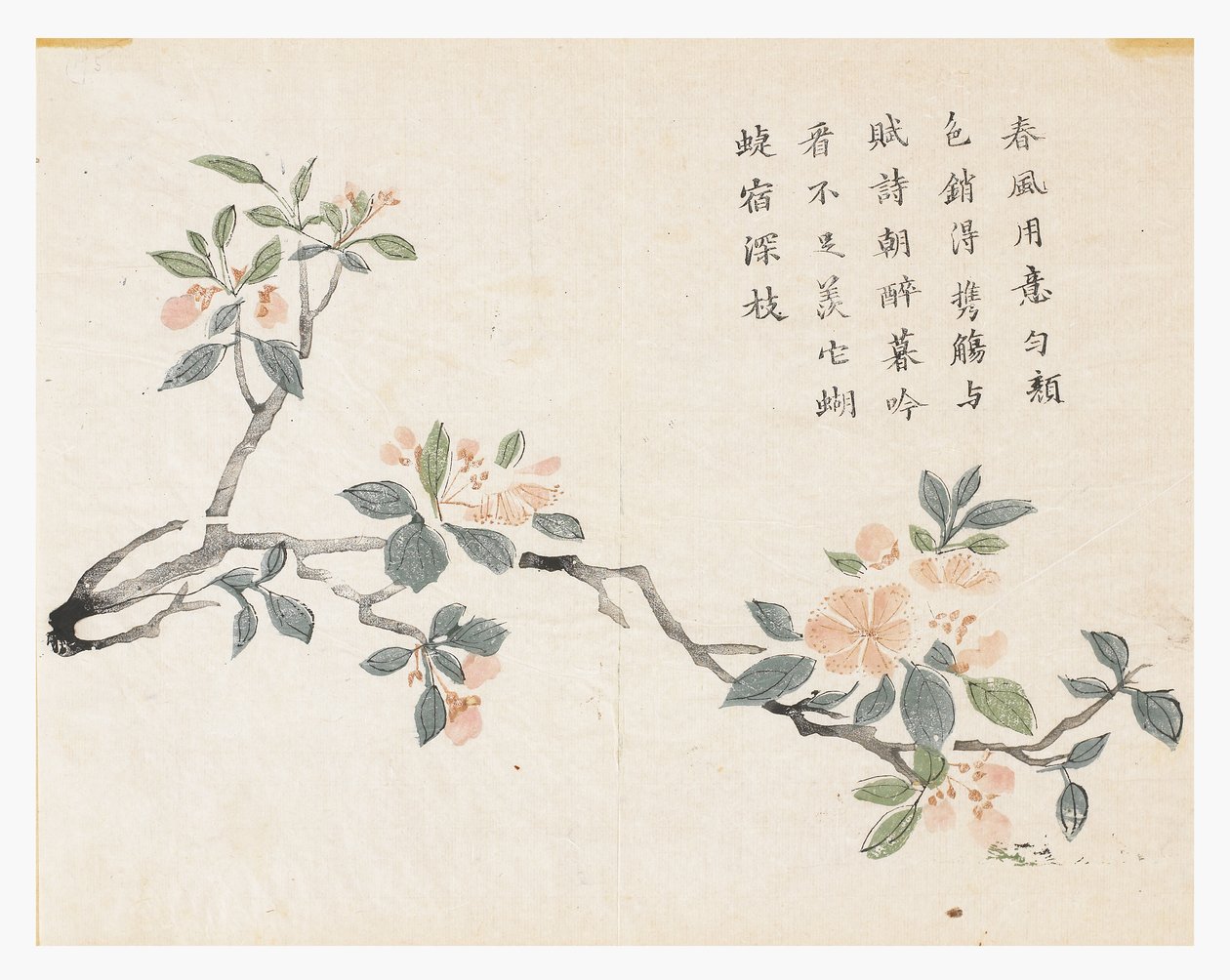 Jardim de Sementes de Mostarda de Chinese School