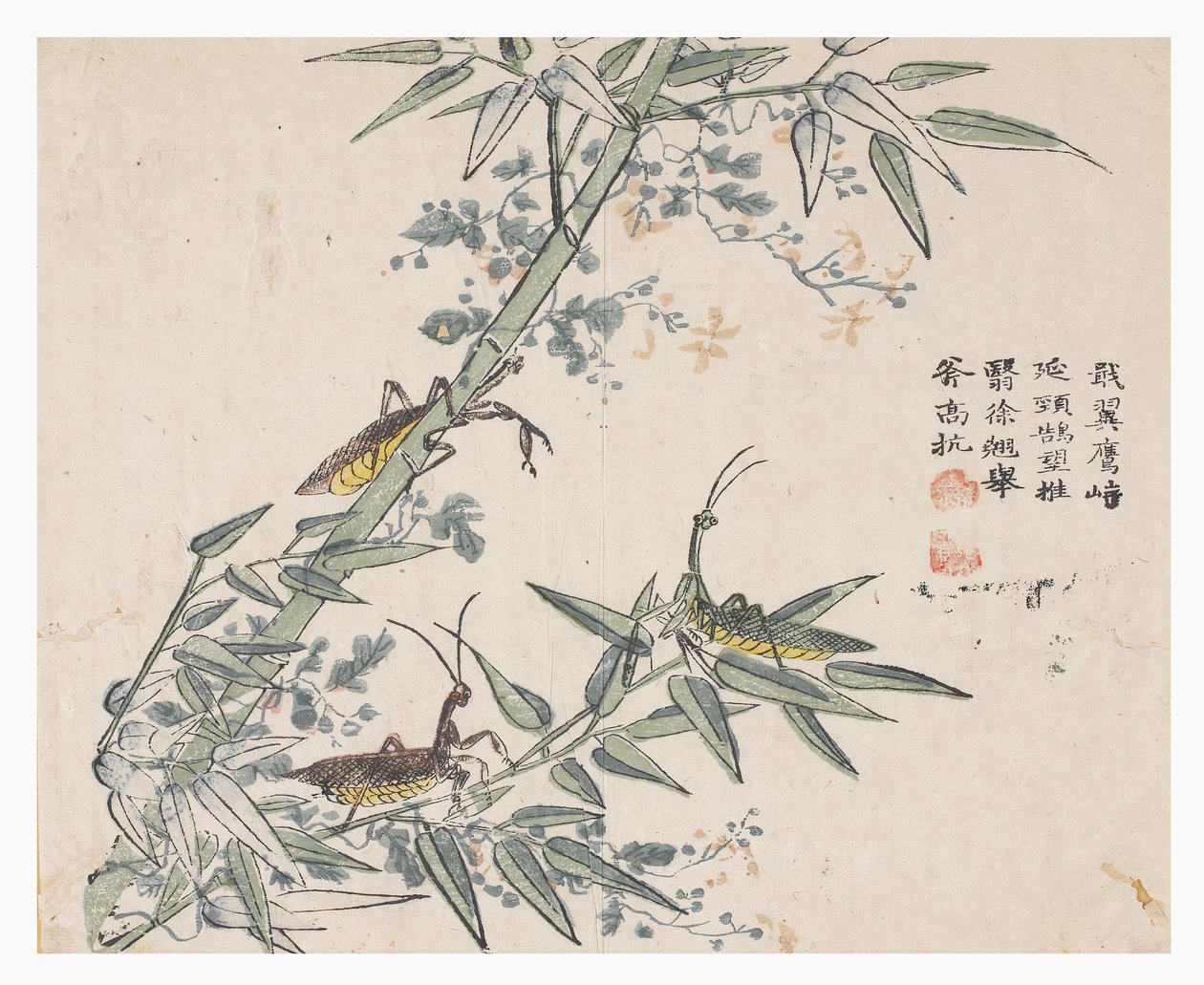Jardim de Sementes de Mostarda de Chinese School