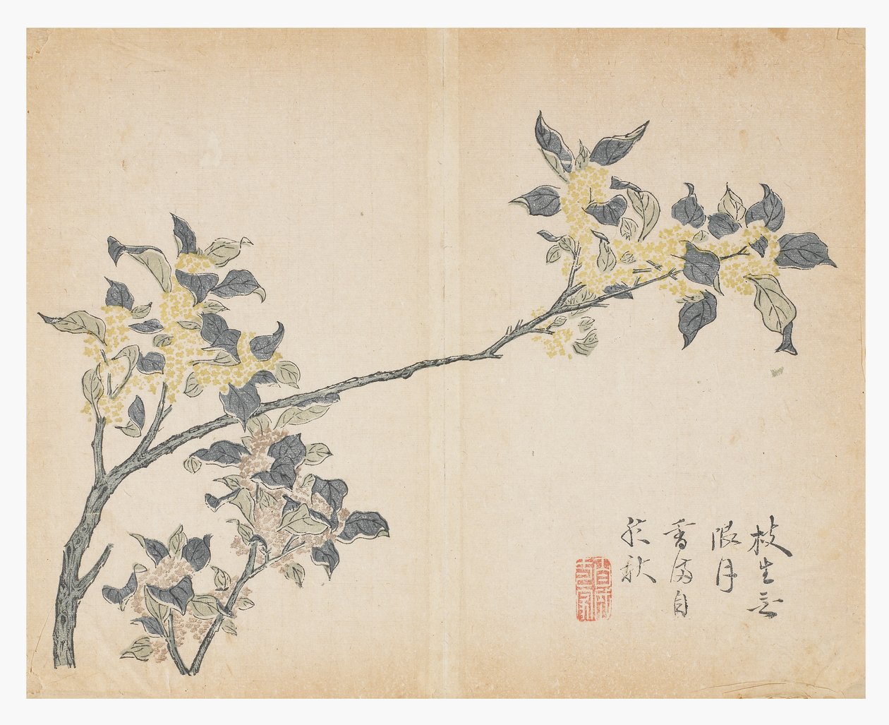 Jardim de Sementes de Mostarda de Chinese School