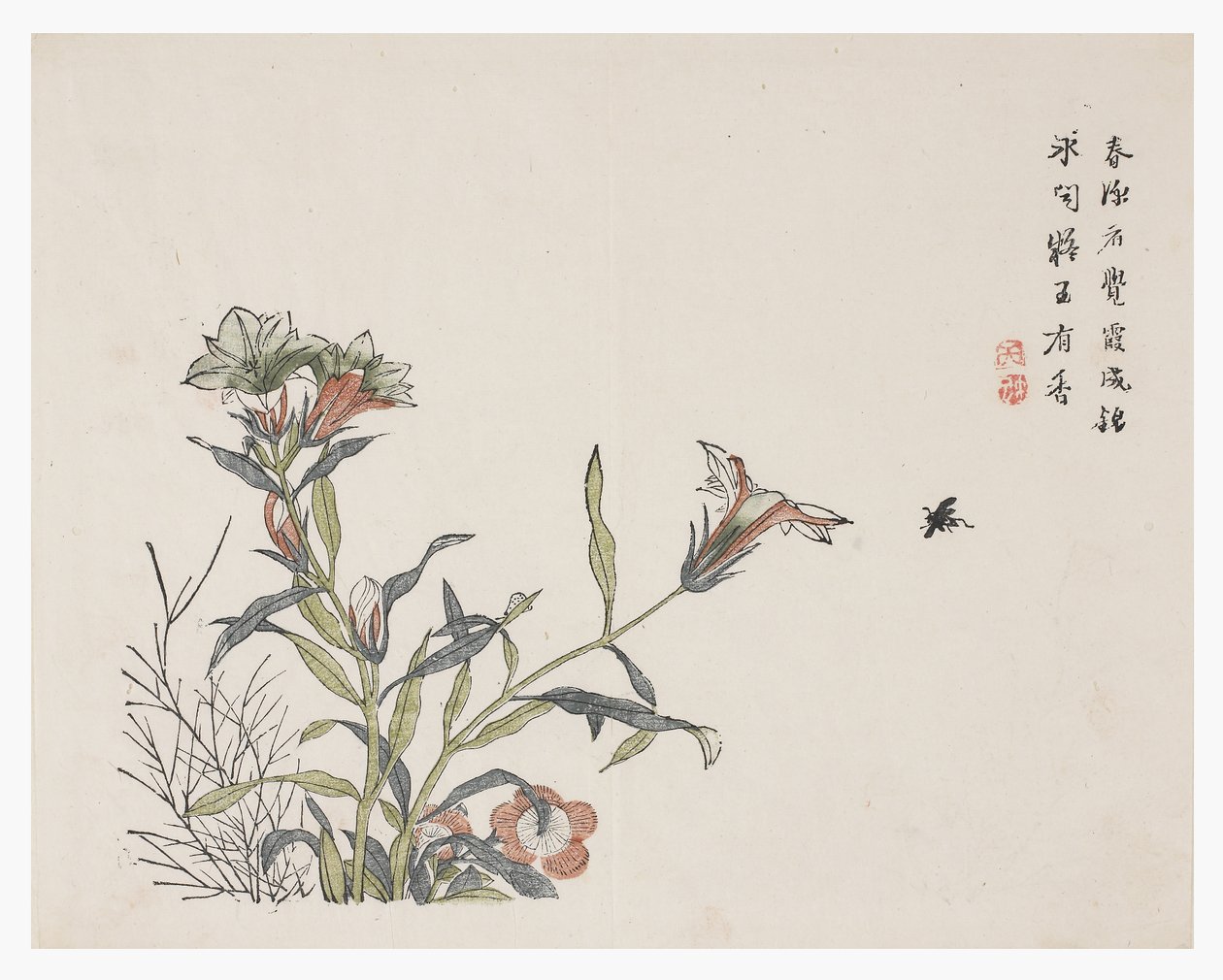 Jardim de Sementes de Mostarda de Chinese School