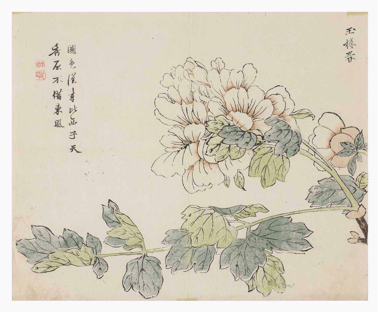 Jardim de Sementes de Mostarda de Chinese School