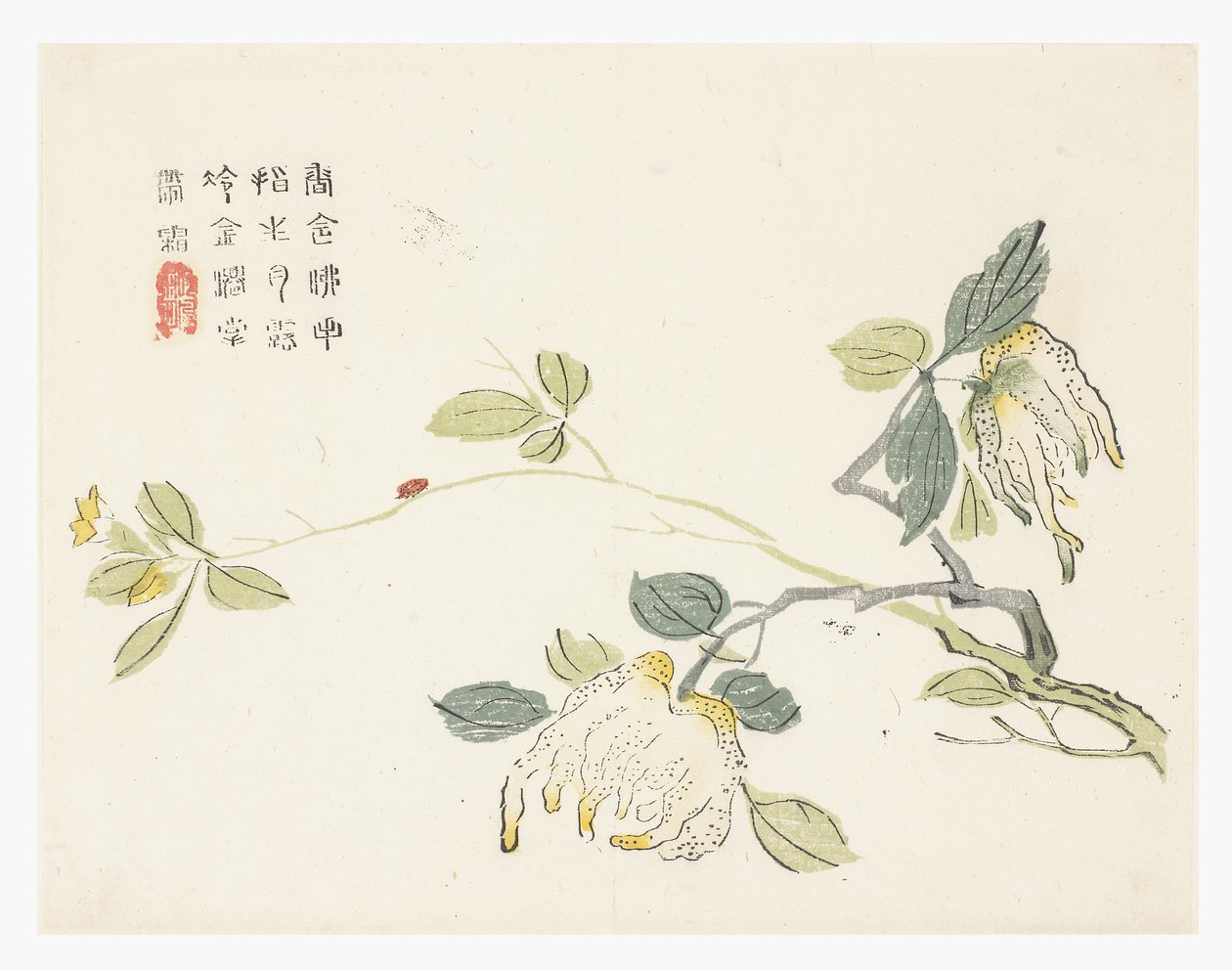Jardim de Sementes de Mostarda de Chinese School