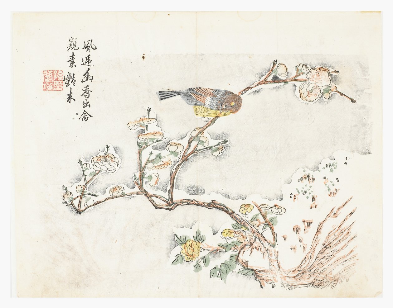 Jardim de Sementes de Mostarda de Chinese School
