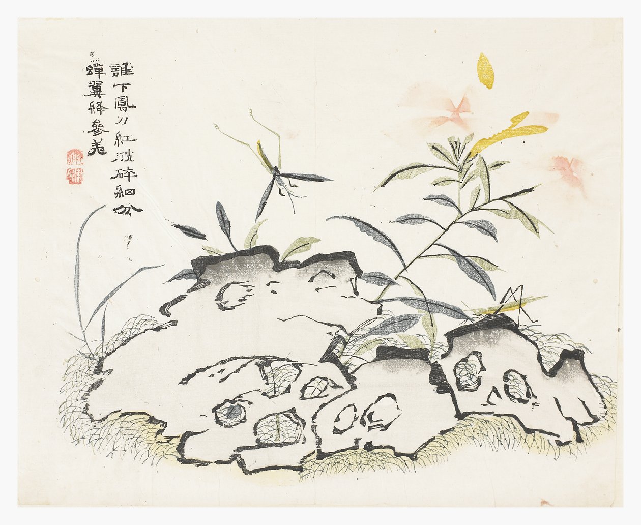 Jardim de Sementes de Mostarda de Chinese School
