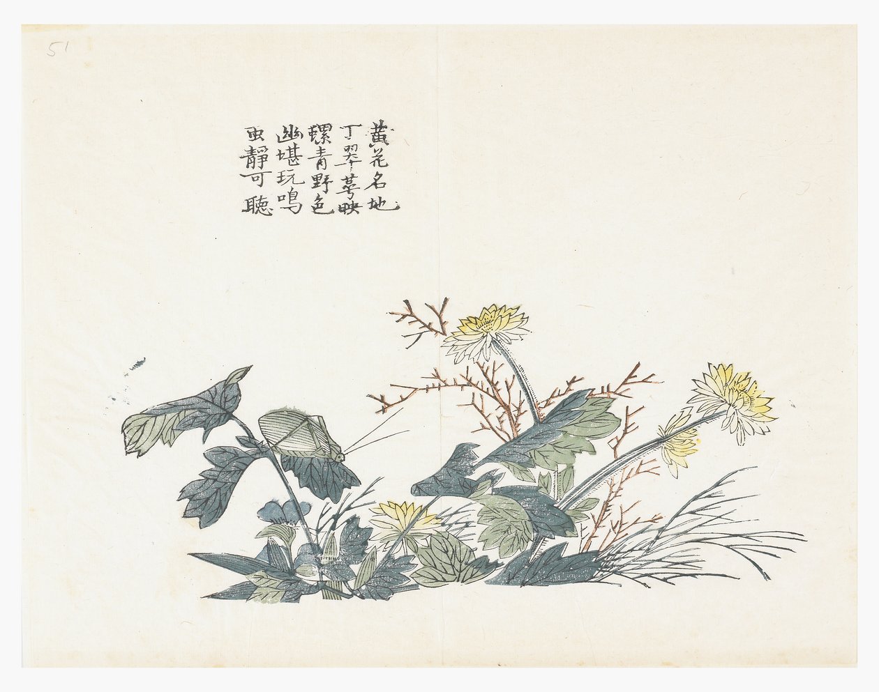 Jardim de Sementes de Mostarda de Chinese School