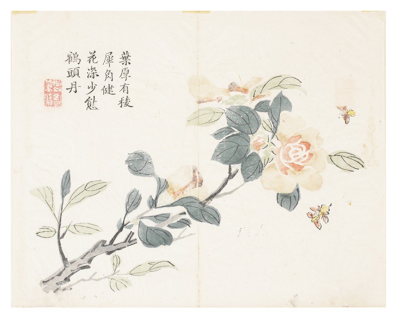 Jardim de Sementes de Mostarda de Chinese School