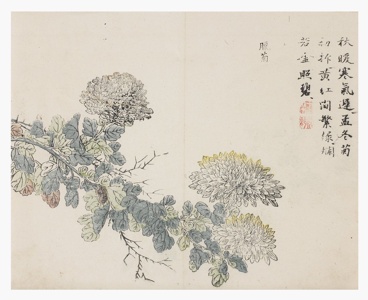 Jardim de Sementes de Mostarda de Chinese School