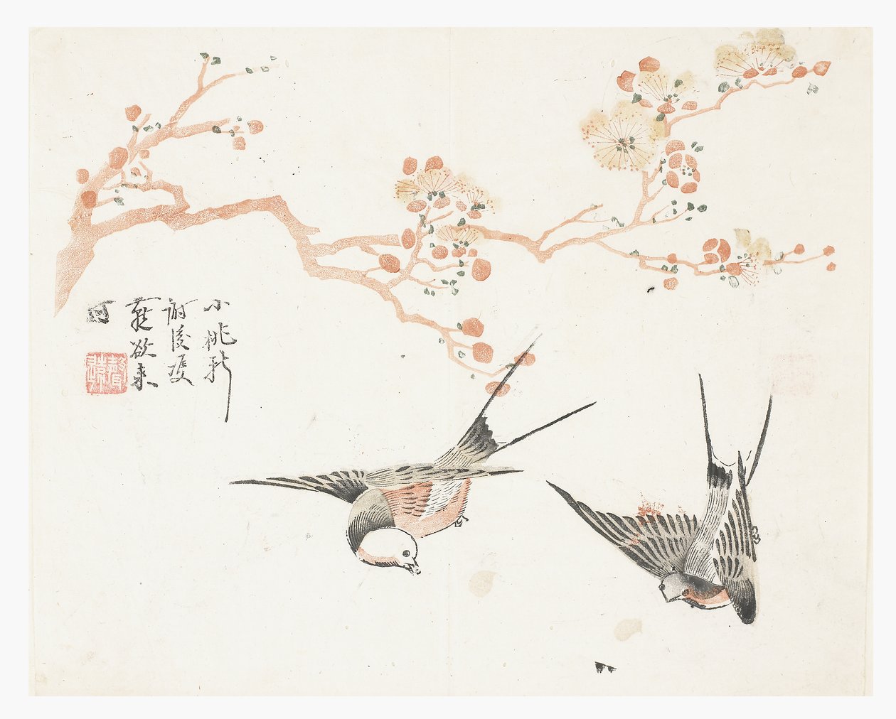 Jardim de Sementes de Mostarda de Chinese School