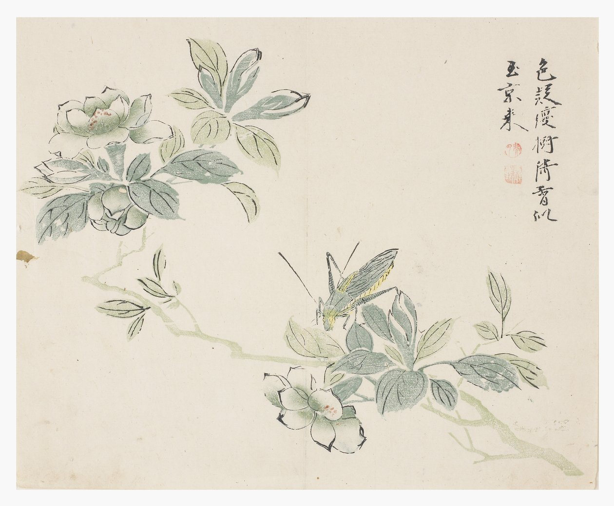 Jardim de Sementes de Mostarda de Chinese School