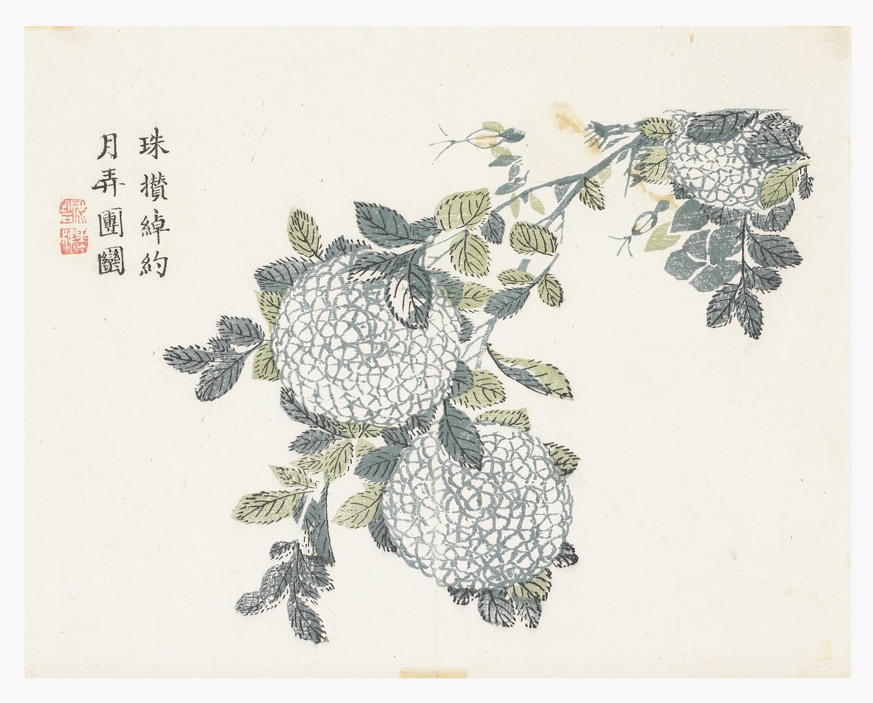 Jardim de Sementes de Mostarda de Chinese School