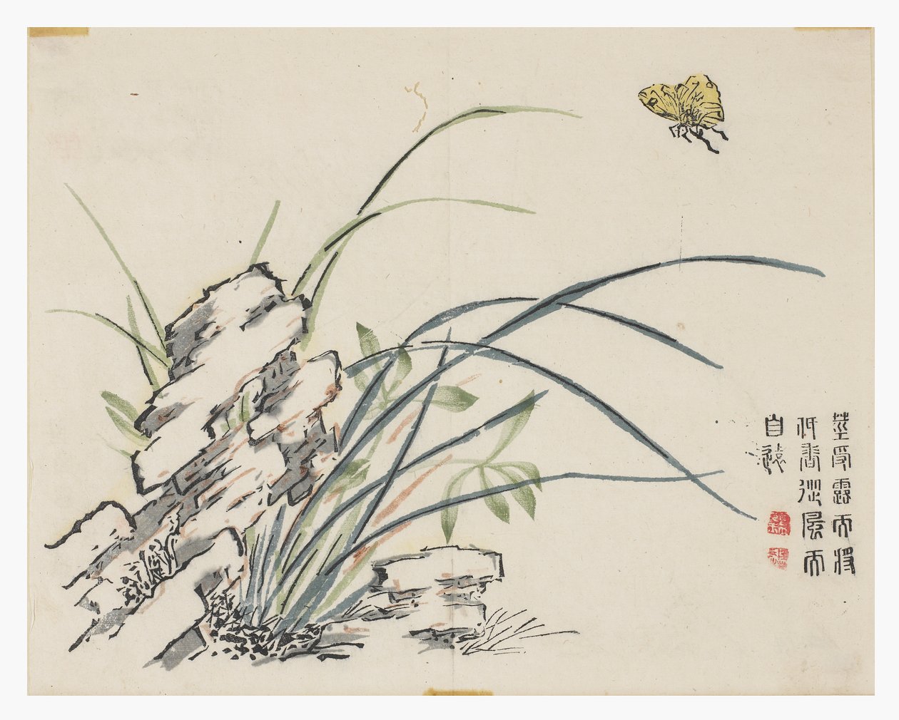 Jardim de Sementes de Mostarda de Chinese School