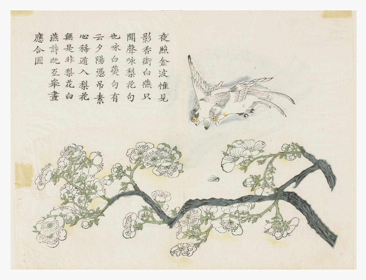 Jardim de Sementes de Mostarda de Chinese School