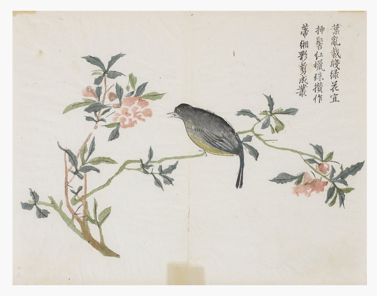 Jardim de Sementes de Mostarda de Chinese School