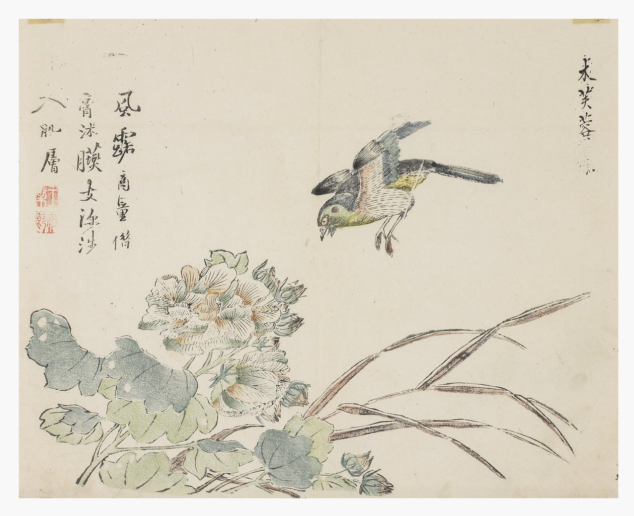 Jardim de Sementes de Mostarda de Chinese School
