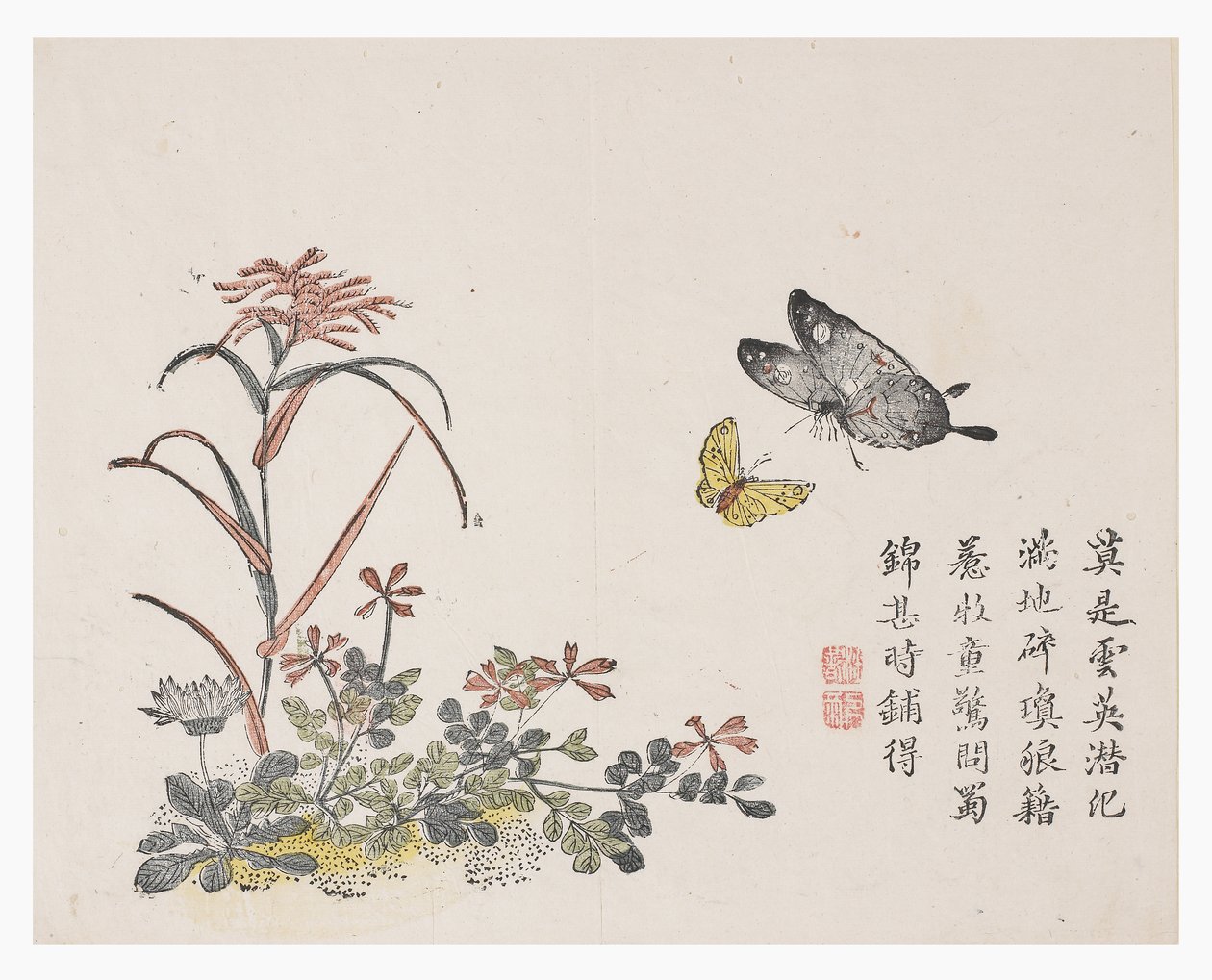 Jardim de Sementes de Mostarda de Chinese School