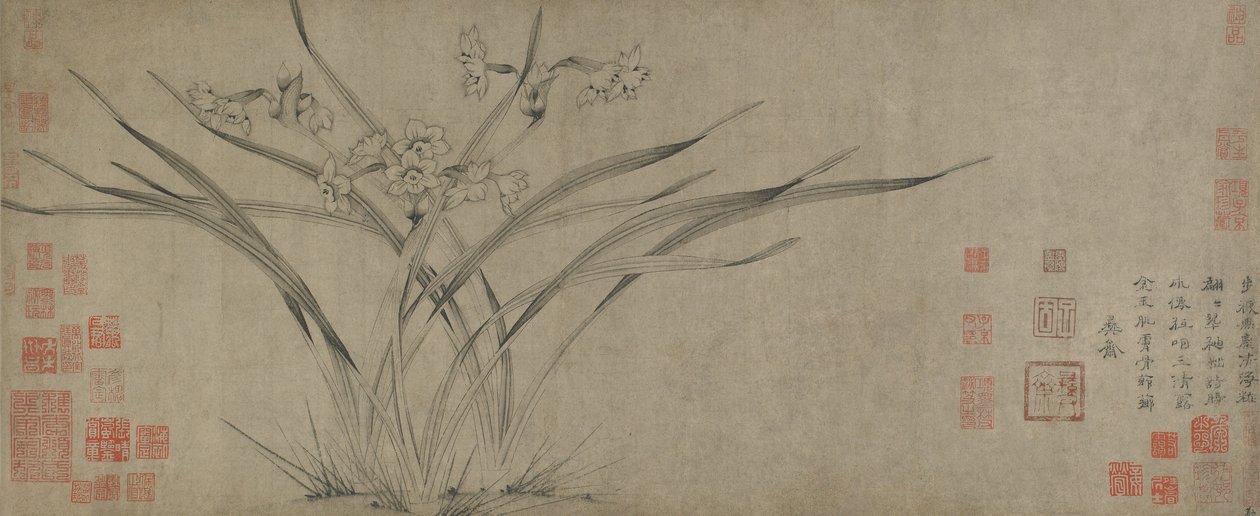Narciso, dinastia Song (tinta sobre papel) de Chinese School