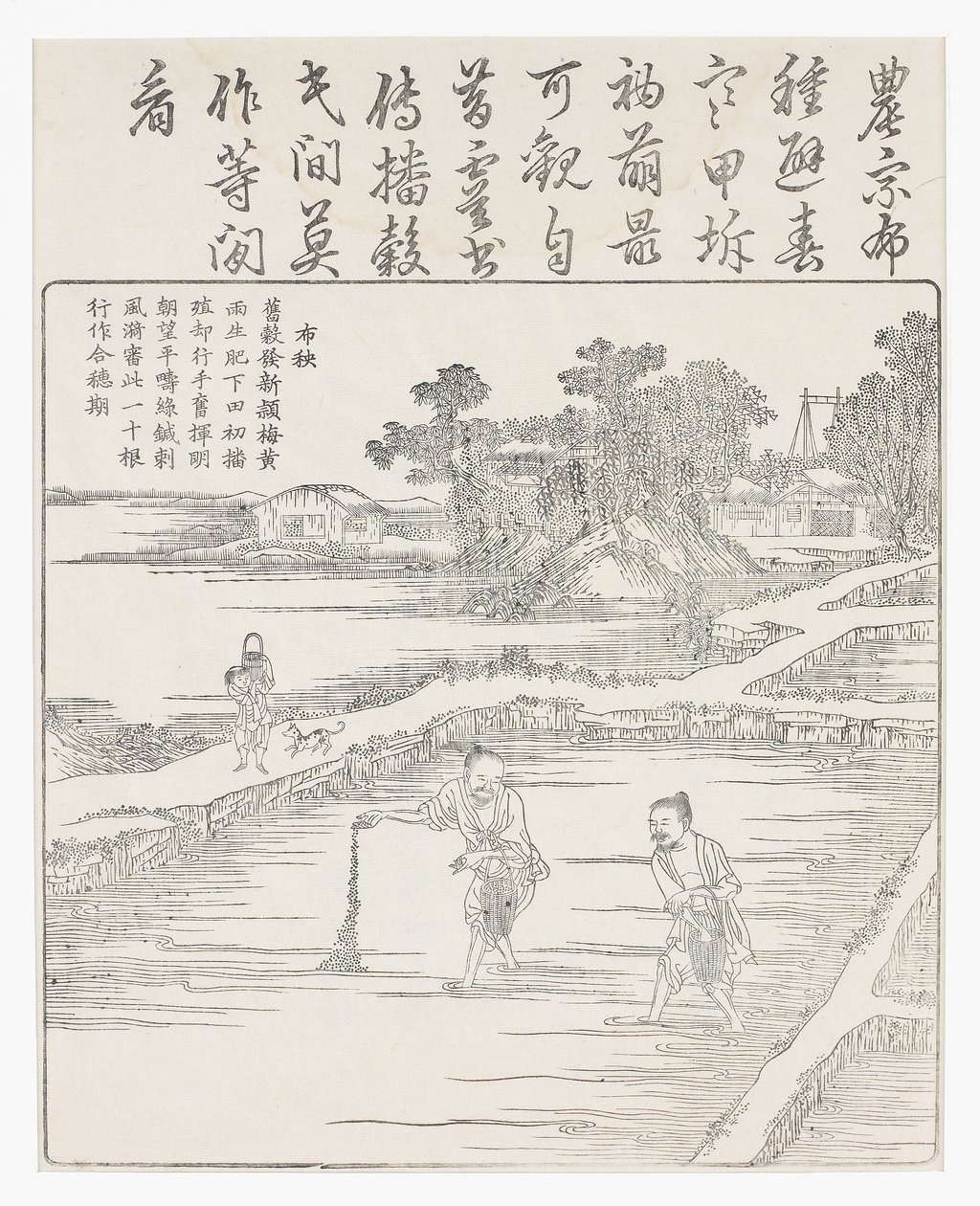 Semeando o arroz em uma cama de sementes., Século 18 de Chinese School